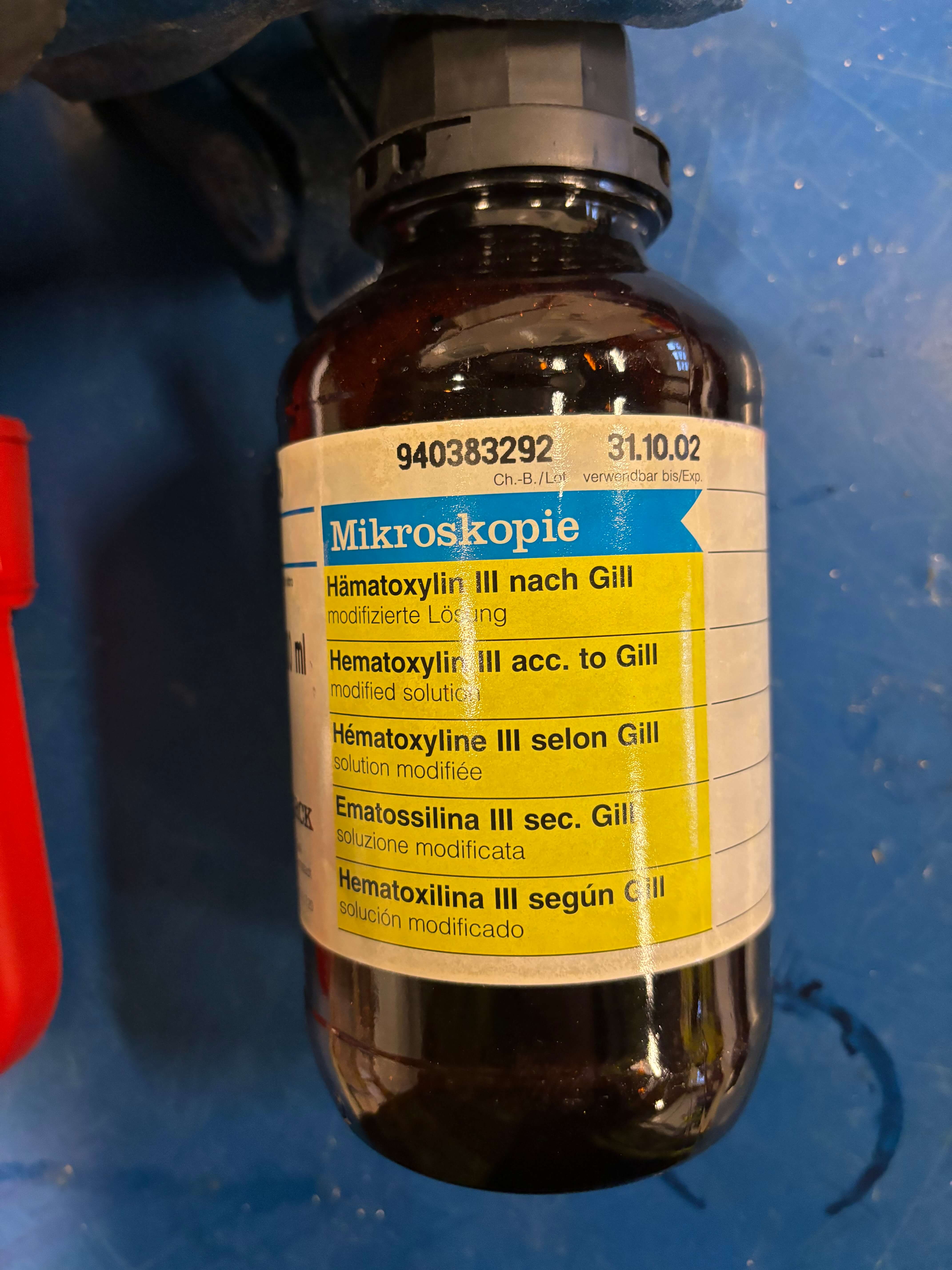 Mikroskopie Hematoxylin